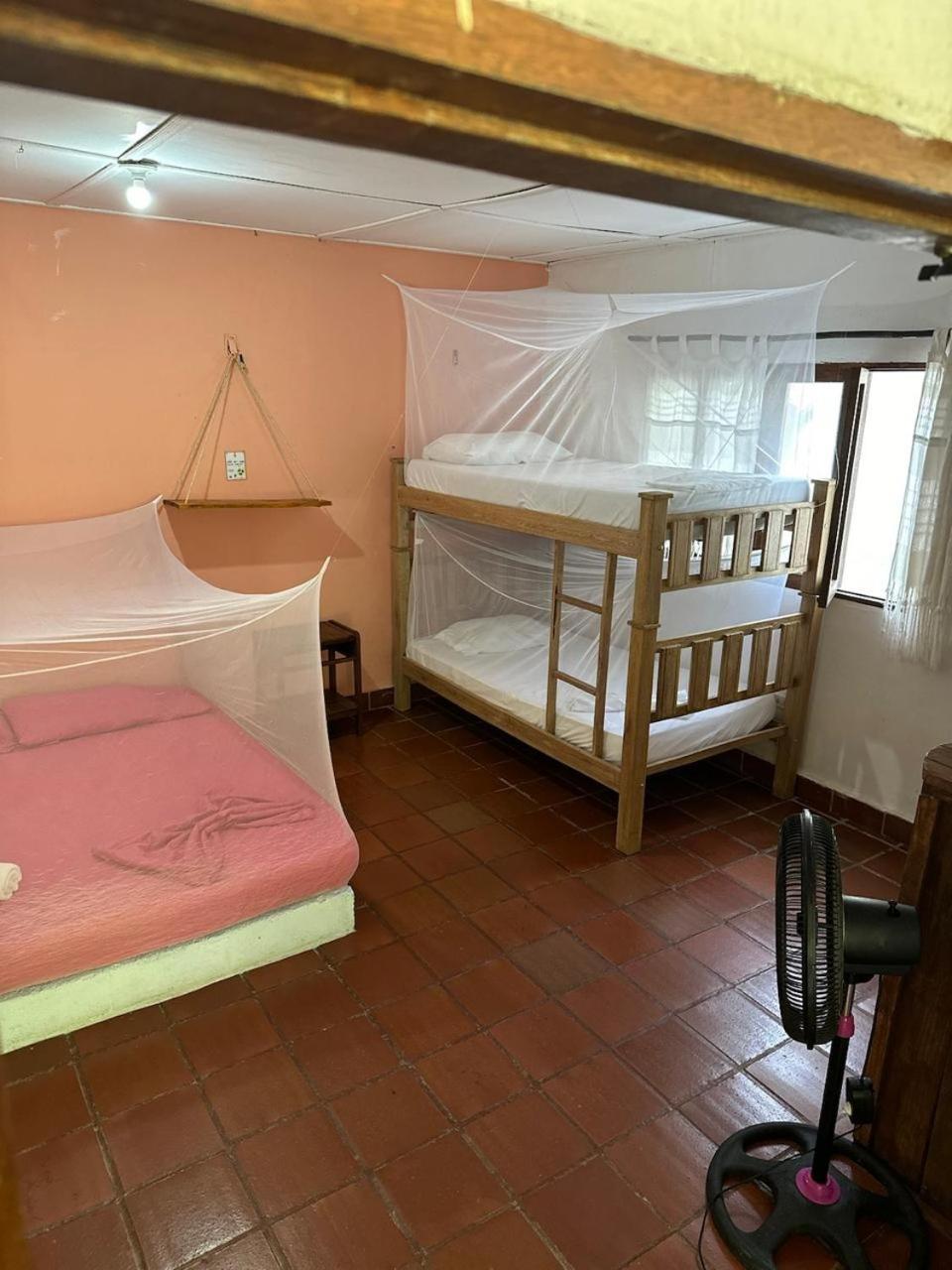 פאלומינו Jaba Jan Hostal מראה חיצוני תמונה
