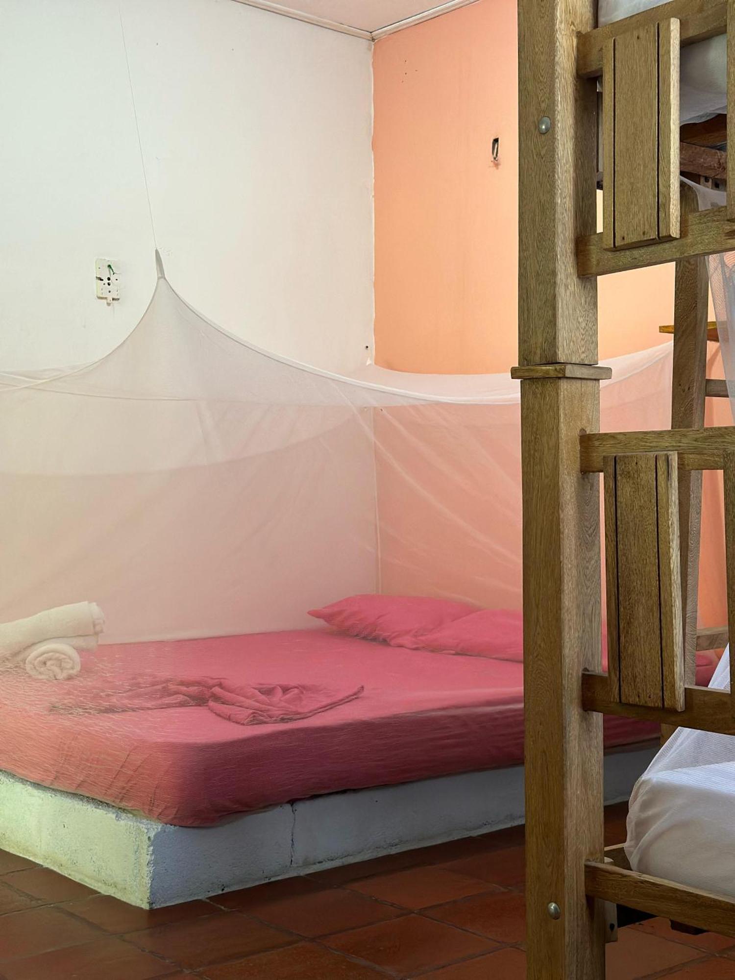 פאלומינו Jaba Jan Hostal מראה חיצוני תמונה