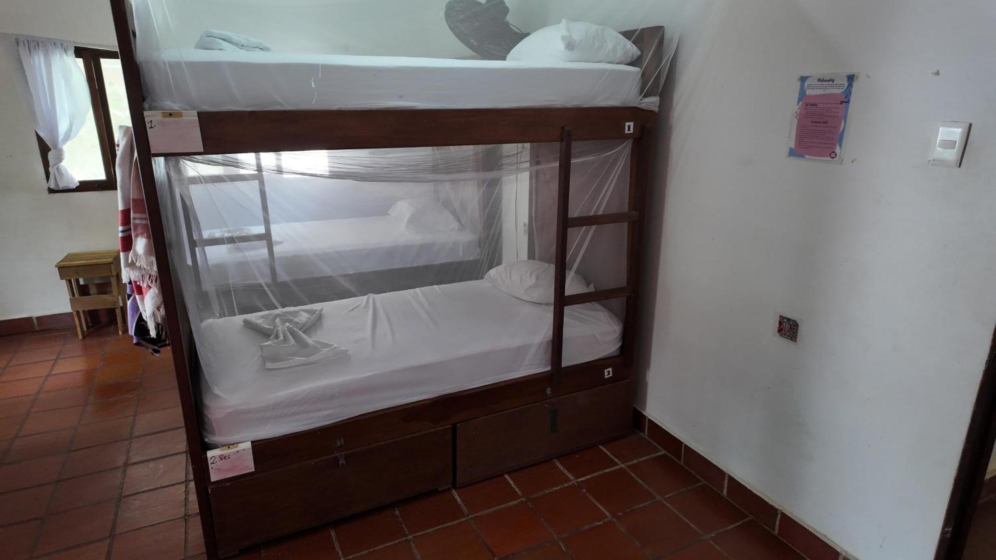 פאלומינו Jaba Jan Hostal מראה חיצוני תמונה